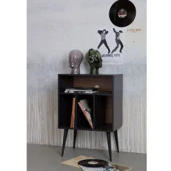 JAMES Meuble de rangement disques vinyles en bois