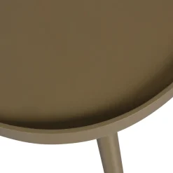 MAE Table basse de forme organique en bois 61x40cm