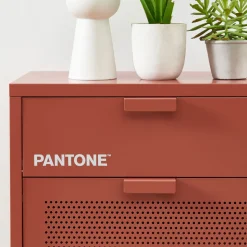 NINO Meuble à chaussures 2 portes 1 tiroir en métal PANTONE L55cm