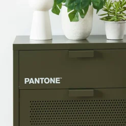 NINO Meuble à chaussures 2 portes 1 tiroir en métal PANTONE L55cm