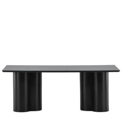 OLIVIA Table basse en bois 120x60cm